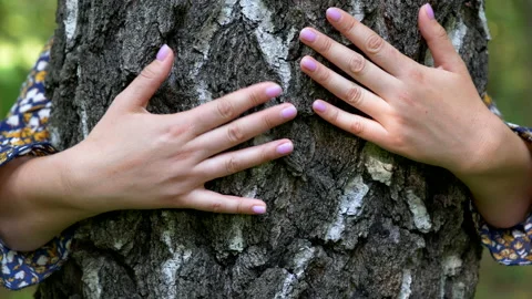 Hugging a tree in a forest in UHD Stock-Footage 144376409