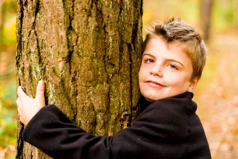 Hugging tree Stock Photos