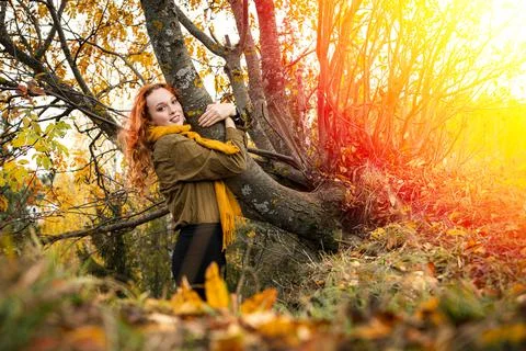 Hugging tree Stock Photos