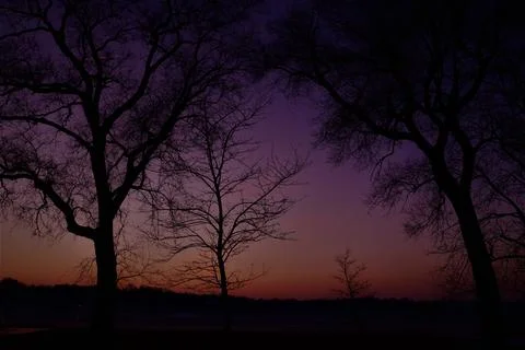 Hugging trees Stock Photos