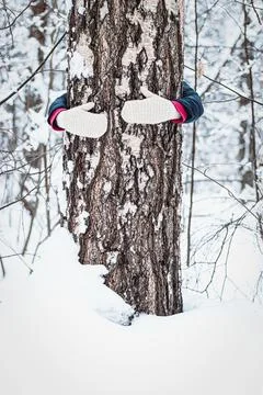 Hugging trees in winter forest, unity with nature Stock Photos