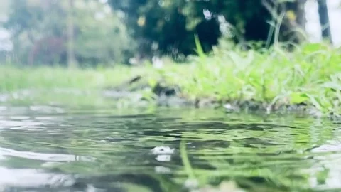 Hujan Stock Footage 224630140