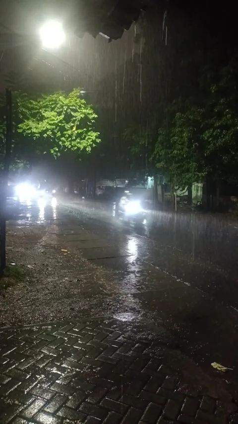 Hujan Video stock 234201957