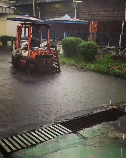 Hujan Video stock 242587428