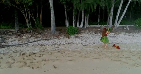 Hula dancer in costume dancing at island 4k 库存影片 95978086