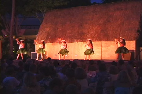 Hula Stock-Footage 818072