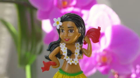 64 Hawaiian Doll Stock Video Footage - 4K and HD Video Clips