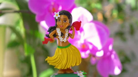 64 Hawaiian Doll Stock Video Footage - 4K and HD Video Clips