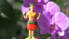 Hawaii Road Trip: Una Muñeca Bailarina De Hula En Coche Bailando