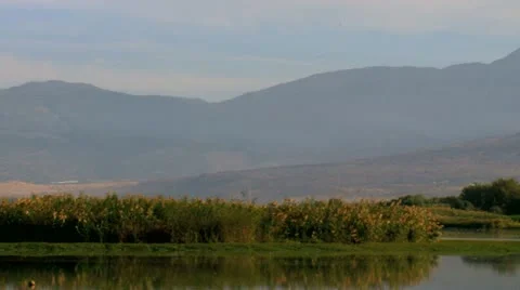 Hula01 Stock Footage 20849088