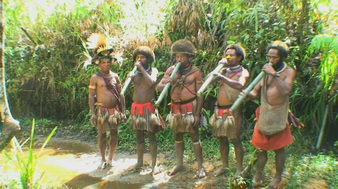 Huli Wigmen 動画素材 368737