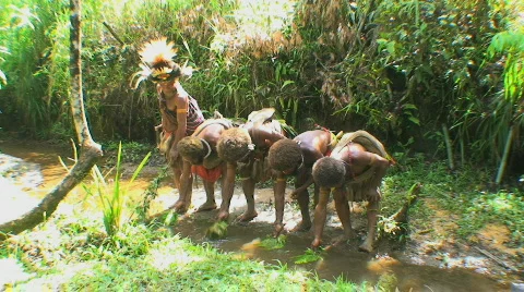 Huli Wigmen 動画素材 368776