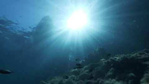 Hull from below the surface of the  bright sea with damselfishes pass,Ustica,Med Stock Footage 127615377