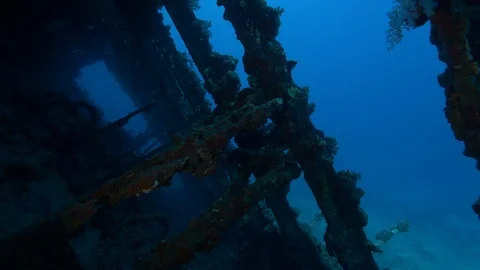 Hull interior of the shipwreck Carnatic underwater, Red Sea, Egypt Stock Footage 88397542