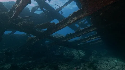 Hull interior of the shipwreck Kingston, Red Sea, Egypt  Stock Footage 105526659
