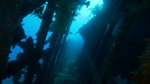 Hull interior of the shipwreck Ulysses, Red Sea, Egypt Stock Footage 105621635