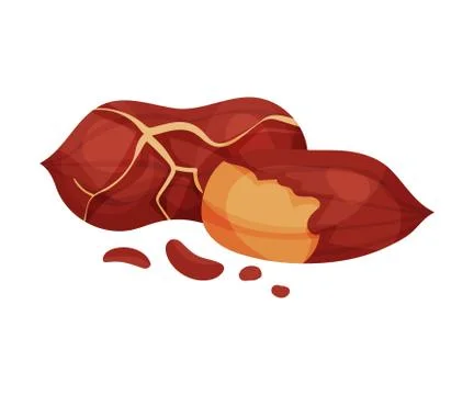 Hulled Peanut Kernel Isolated on White Background Vector Illustration Stock Illustration