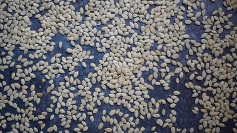 Hulled watermelon seeds Stock Footage 154797016