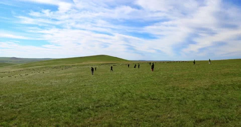 Hulunbuir grassland Stock Footage 218234214
