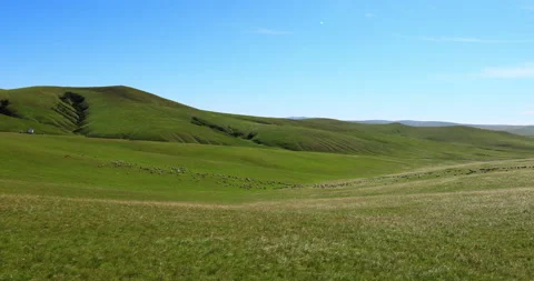 Hulunbuir grassland Stock-Footage 218236485