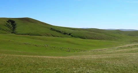 Hulunbuir grassland 库存影片 218236783