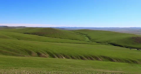 Hulunbuir grassland 库存影片 218237160