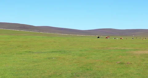 Hulunbuir grassland Stock Footage 218239059