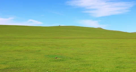 Hulunbuir grassland Stock-Footage 218239233