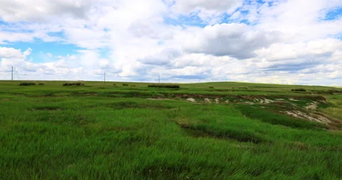 Hulunbuir grassland Stockbeeldmateriaal 218292736