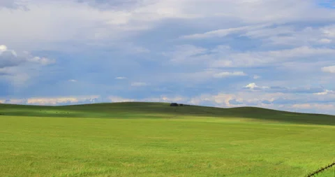 Hulunbuir grassland Video stock 218296953