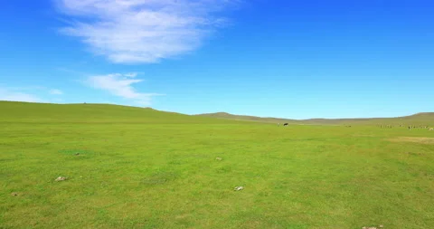 Hulunbuir grassland  time lapse 库存影片 218239846