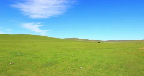 Hulunbuir grassland  time lapse Video stock 218239853