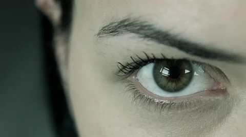 Humain Brain And Neurons Stock Footage