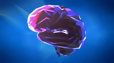 Human 3d  low poly brain Stock Footage 661962