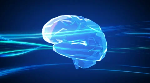 Human 3d  low poly brain Stock Footage 39999298