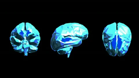 Human 3d low poly sliced brain Stock Footage 662001