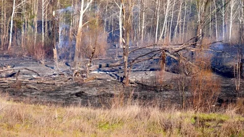 Human activities often lead to environmental disasters Stock Footage 144877565