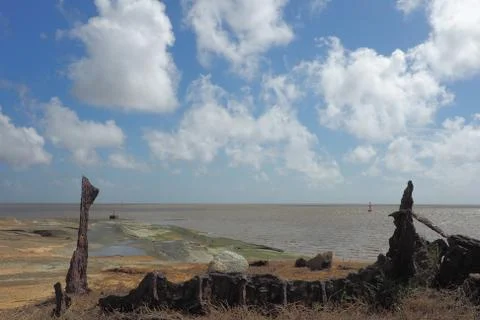 Human activity Фото