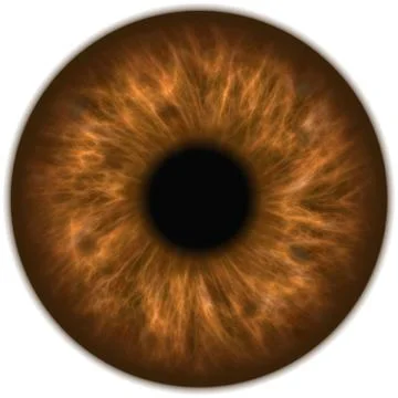 Human amber brown eye iris closeup Stock Illustration