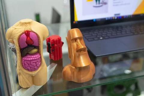 Human anatomical model made using 3D printing technology. Industry Foto stock