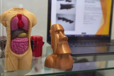 Human anatomical model made using 3D printing technology Foto stock