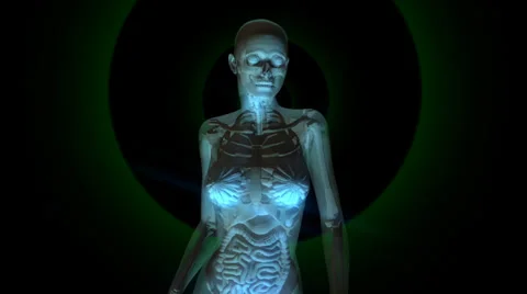 Human anatomy animation Stock Footage 27658480