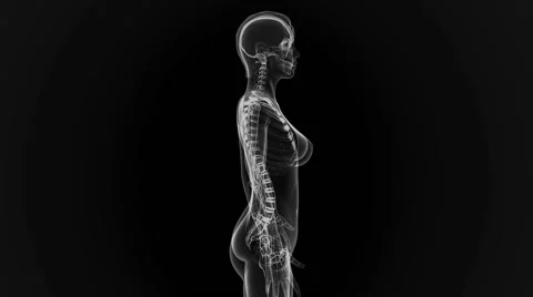Human Anatomy animation Stock Footage