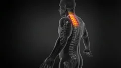 Anatomy of Human Spine. Seamless Loop. A, Stock Video