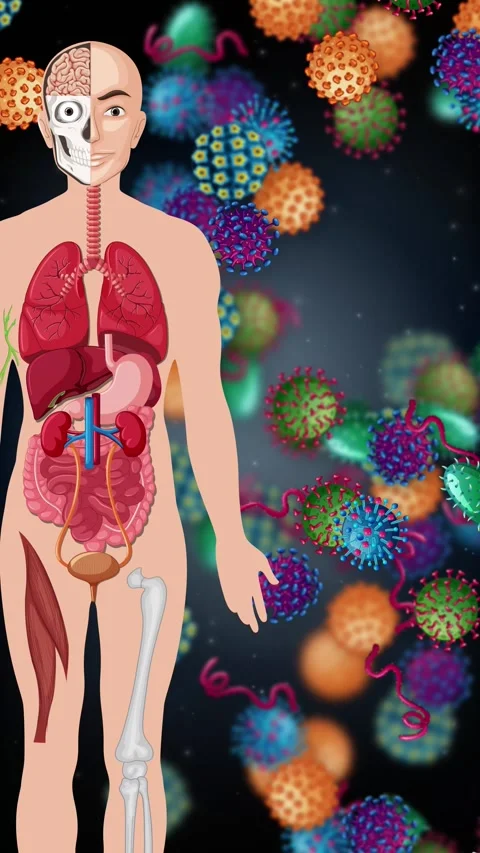 Human Anatomy Diagram with Floating Microbes and Pathogens Animation Video stock 343820102