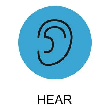 Human anatomy flat ear icon, hear health organ vector illustration, face part Stock Illustration