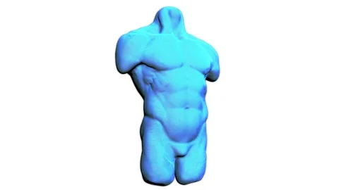 Human Anatomy Stock Footage 90851613