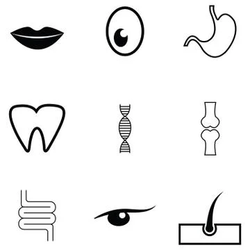 Human anatomy icon set Stock Illustration