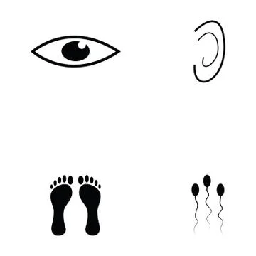 Human anatomy icon set Stock Illustration