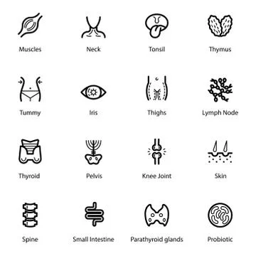 Human Anatomy Line Icons Pack イラスト素材